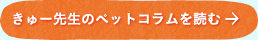 きゅー先生のペットコラム