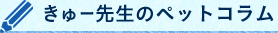 きゅー先生のペットコラム