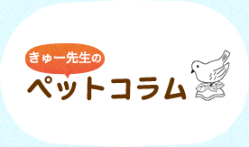 きゅー先生のペットコラム