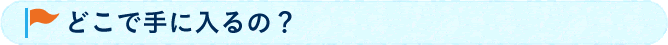どこで手に入るの？